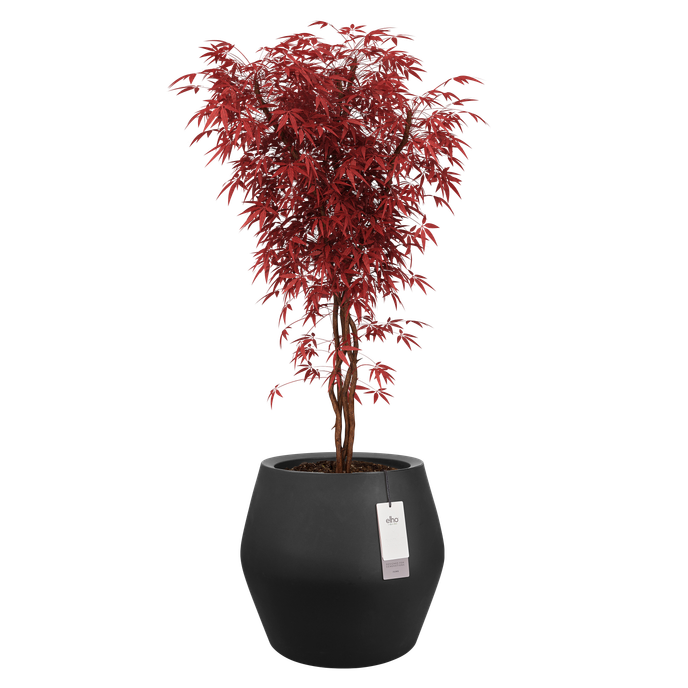 june split low 46cm zwart